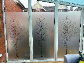 Printed Birch tree onto frosted window film